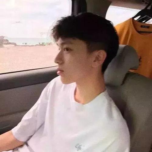 文章图片最帅的图片,揭秘最帅图片背后的故事  第3张