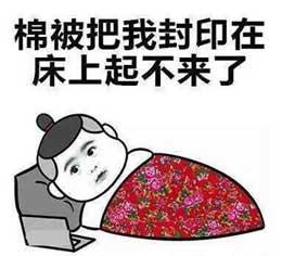 懒床表情包,揭秘早晨“起床困难户”的内心世界  第3张