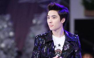 xo成员资料,揭秘他们的魅力与成就  第2张