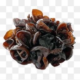 木耳的照片,大自然的馈赠与营养宝库