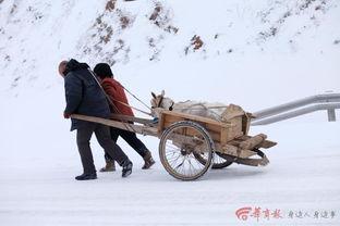 拉羊车图片 第2张 拉羊车图片 第2张